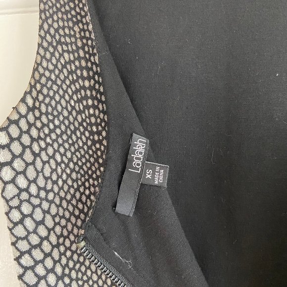 Ladakh Silver Snakeskin Ruffle Cocktail Dress, XS - Picture 3 of 4